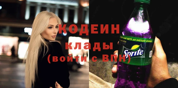 дмт Гусев