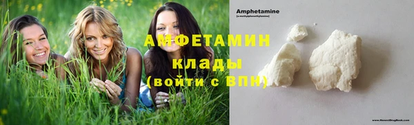 дмт Гусев