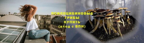 дмт Гусев