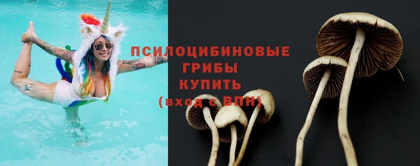 молекула духа Гусь-Хрустальный