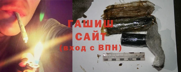 дмт Гусев