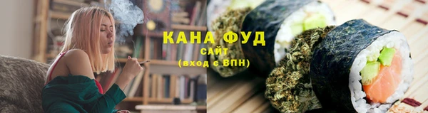 Альфа ПВП Горняк