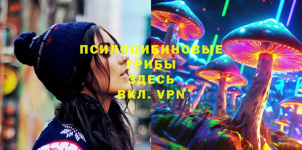 дмт Гусев