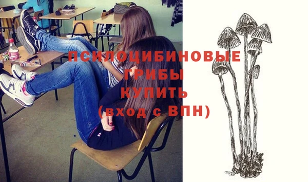 дмт Гусев