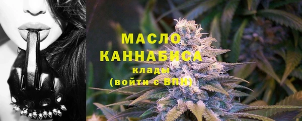 дмт Гусев