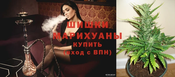 дмт Гусев