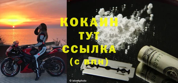 дмт Гусев