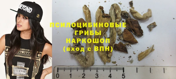 ECSTASY Гусиноозёрск