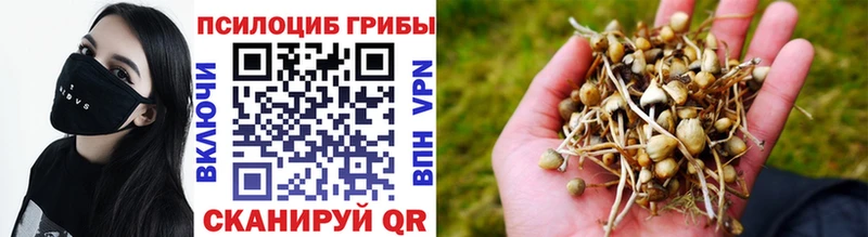 Галлюциногенные грибы мухоморы  Кисловодск 